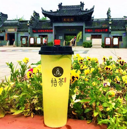 <b>悟茶加盟优势多多，助你轻松创业!</b>