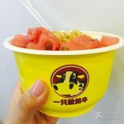 <b>一只酸奶牛加盟店，创造属于自己的财富</b>