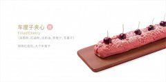 <b>奈雪的茶全方位解析</b>